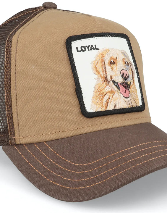 Goorin Bros. The Loyal Dog Brown Trucker