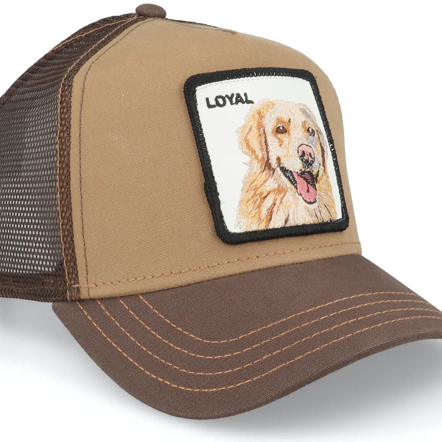 Goorin Bros. The Loyal Dog Brown Trucker